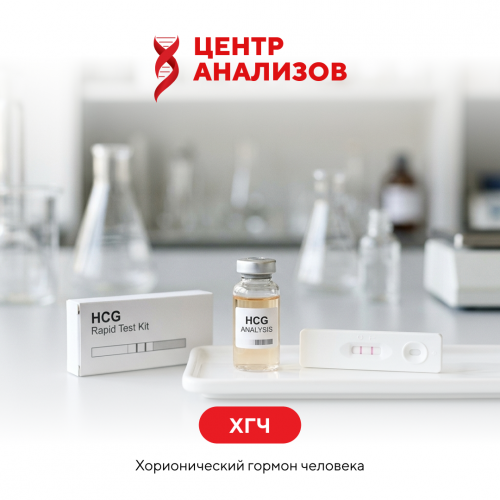 ХГЧ (хорионический гормон человека)